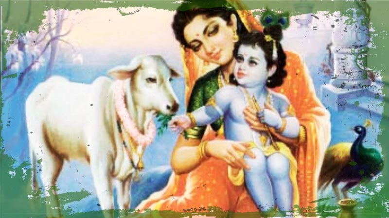 Исцеляющая мантра на все времена. Аюрведические практики