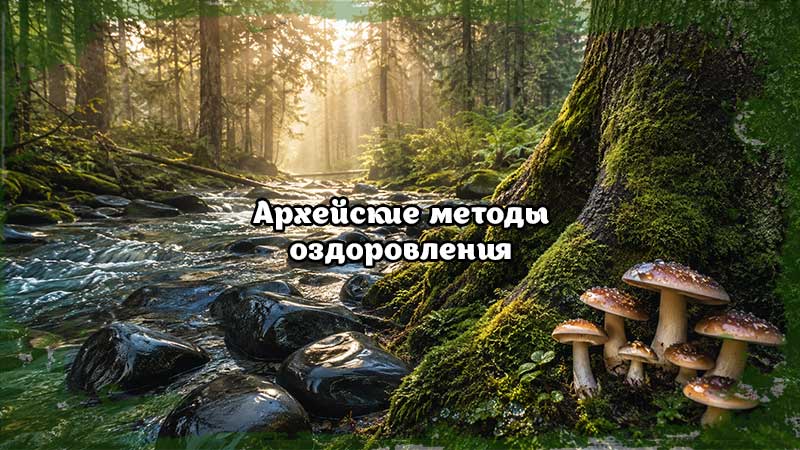 Архейские методы оздоровления — древний первозданный лес с чистым ручьём, шунгитовыми камнями и утренним солнечным светом